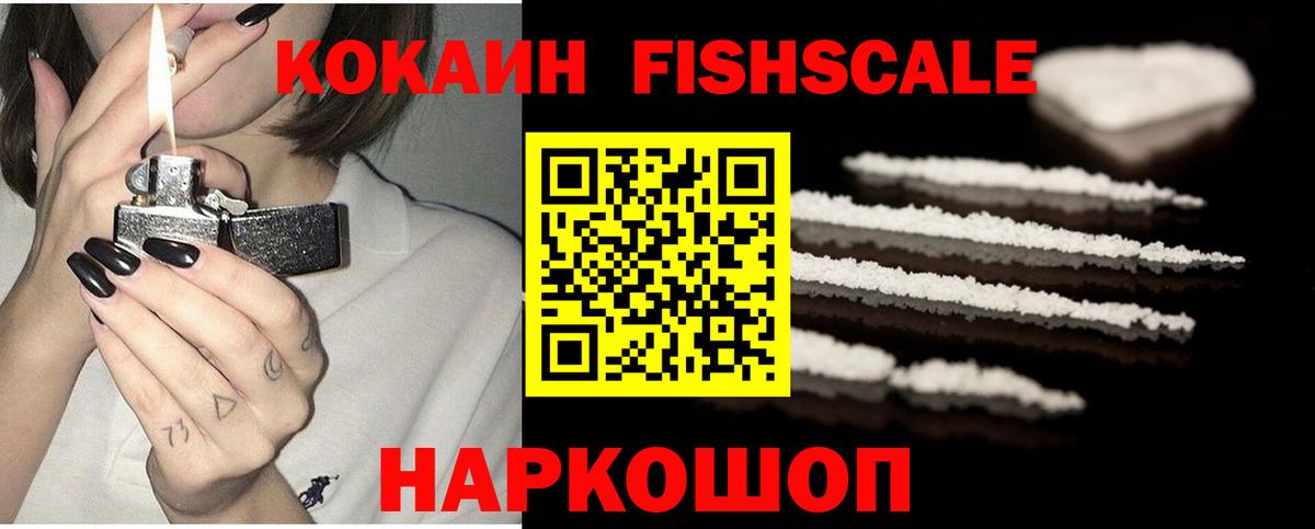 Кокаин Эквадор Можга