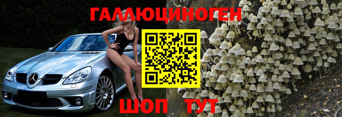 Псилоцибиновые грибы ЛСД  купить   Можга  Вход с VPN 